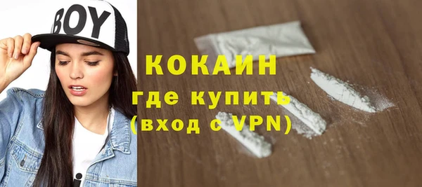 ешки Дмитриев