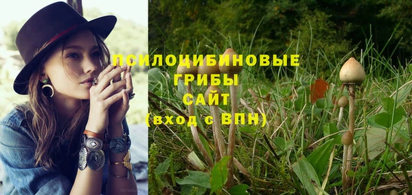 дурь Дмитровск