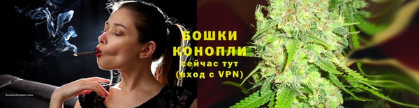 крисы Ельня