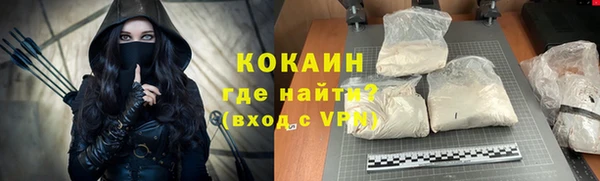 крисы Ельня