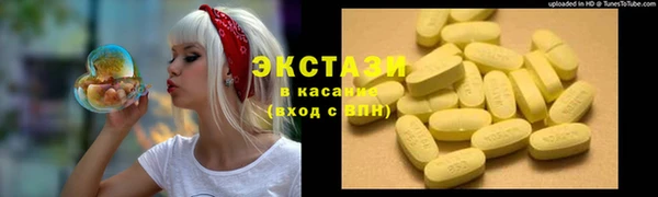 крисы Ельня