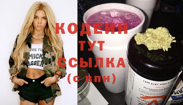 ешки Дмитриев